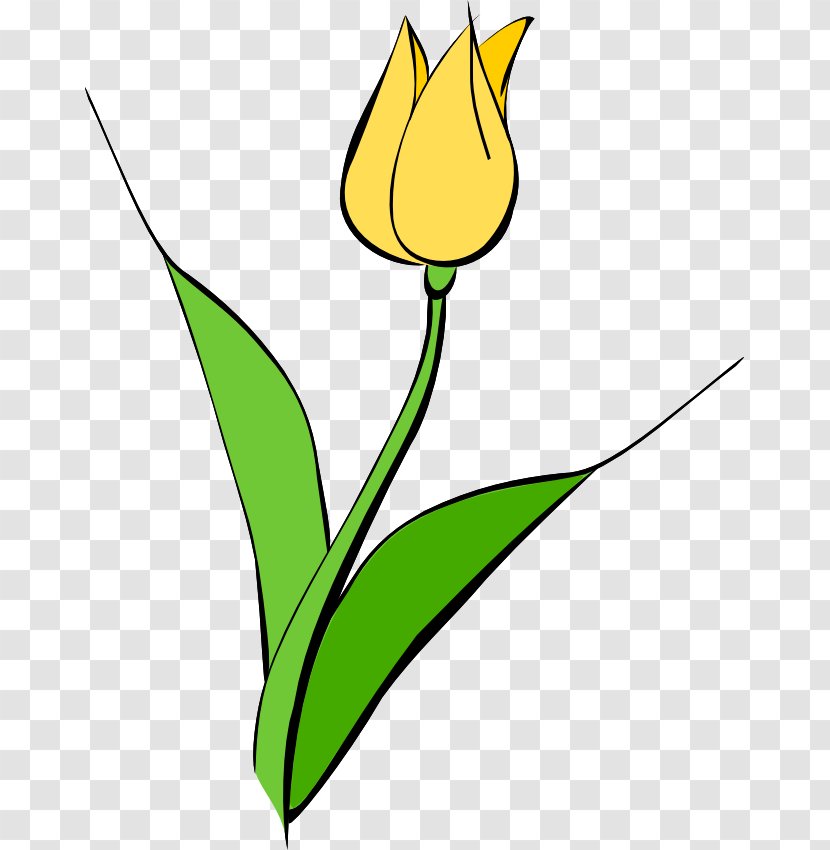 Tulipa Gesneriana Yellow Flower Clip Art - Sylvestris - Spring Tulip Pictures Transparent PNG