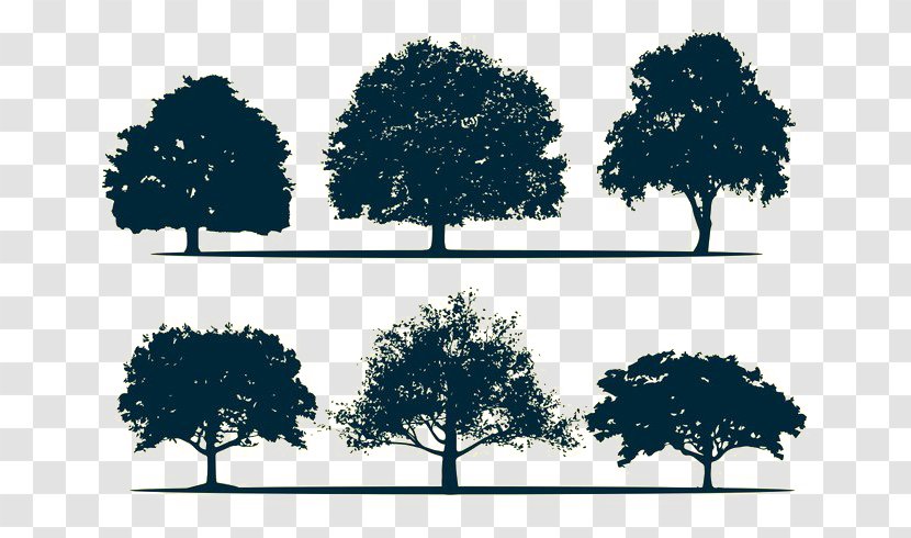 Silhouette Oak Tree Transparent PNG