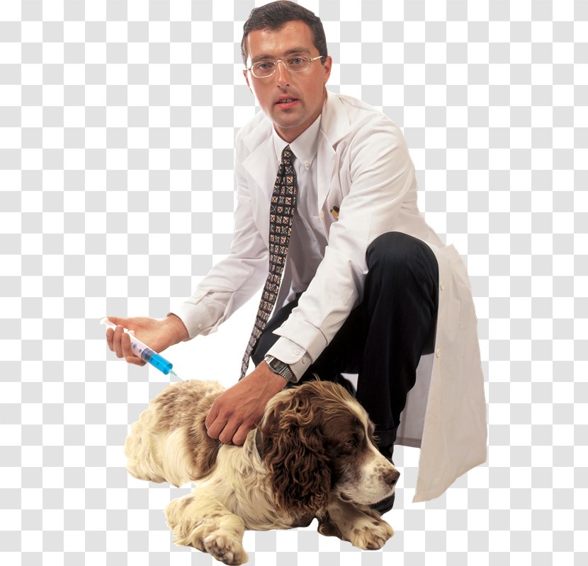 Dog Breed Puppy Veterinarian - Digital Image Transparent PNG