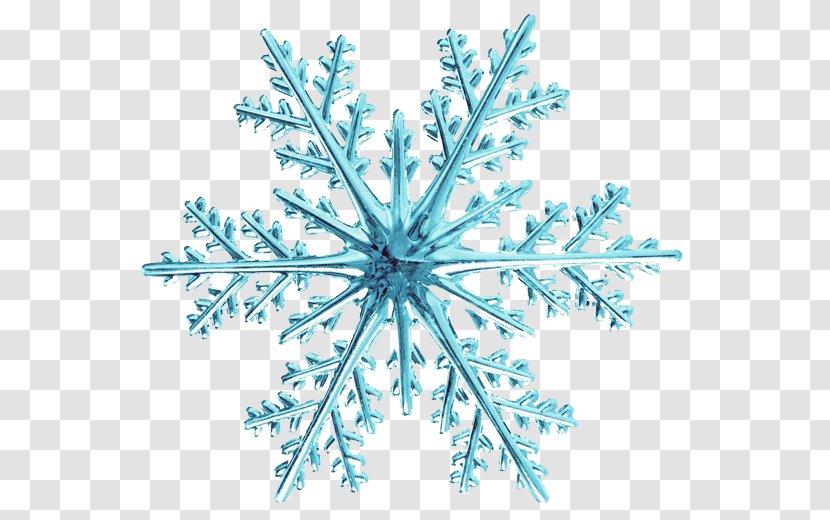 Snowflake Stock.xchng Clip Art - Symmetry - Blue Fresh Snow Effect Elements Transparent PNG