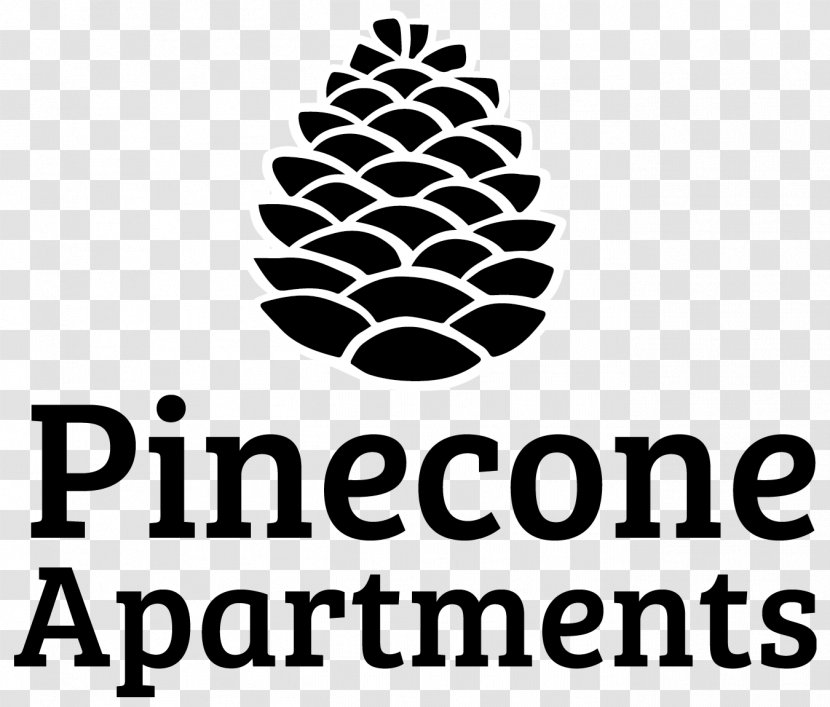 Conifer Cone Logo Tree Pine - Conifers - Jane Pen Leaves Transparent PNG