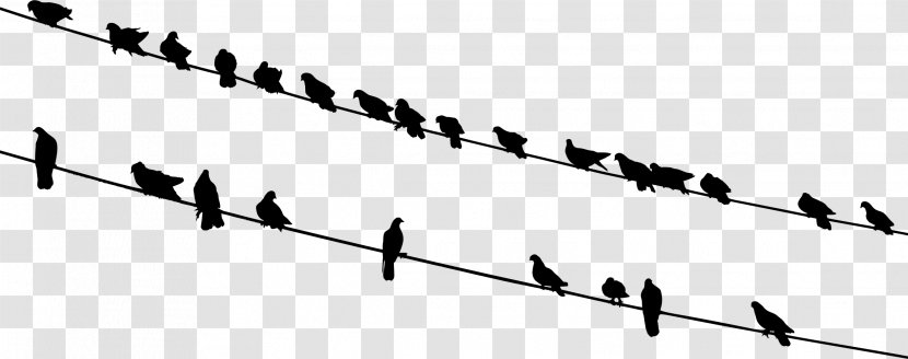 Bird Wire Silhouette Clip Art - Flock Of Birds Transparent PNG
