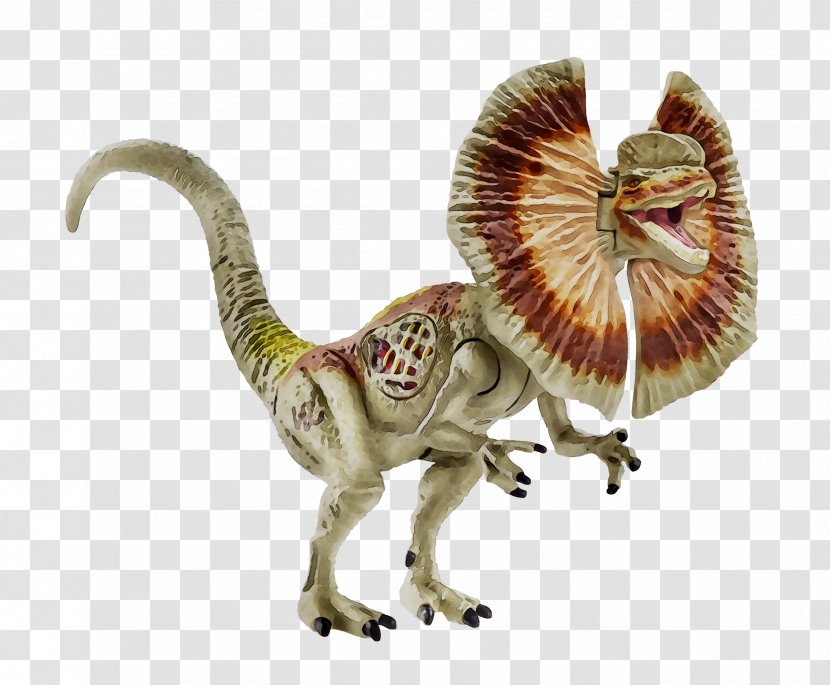 Velociraptor Dinosaur Stegosaurus Dilophosaurus Tyrannosaurus - Drawing - Extinction Transparent PNG