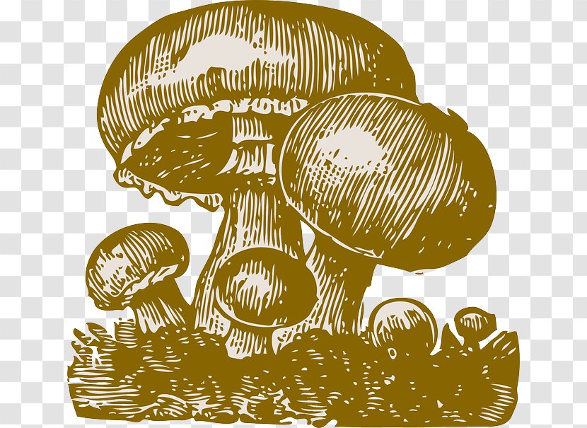 Fungus Mushroom Clip Art - Royaltyfree Transparent PNG