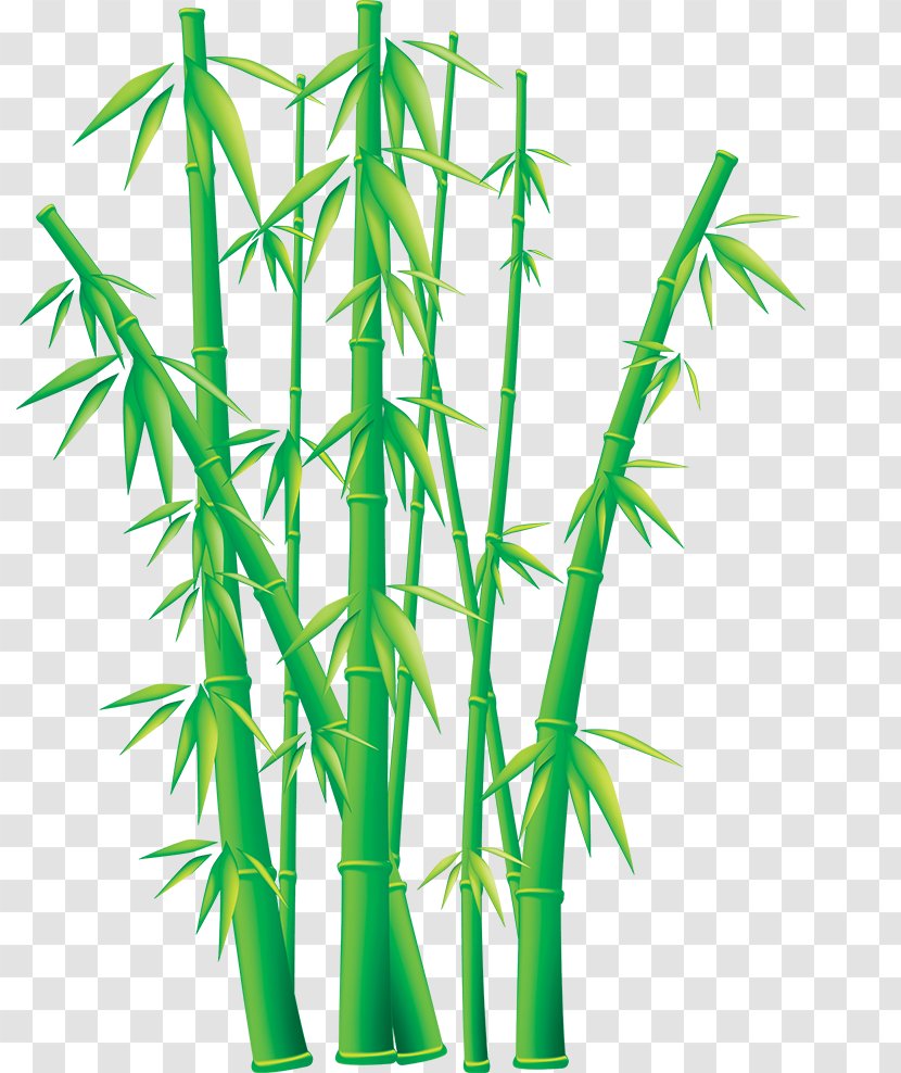 Bambusodae Free Content Clip Art - Bamboo Transparent PNG