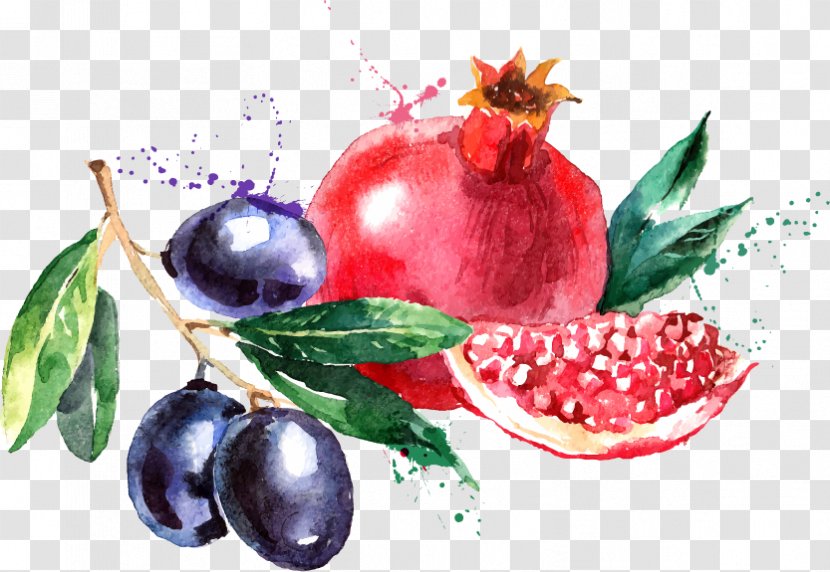 Watercolor Painting Fruit Drawing - Creative Market - Pomegranate Blueberry Vector Material Transparent PNG