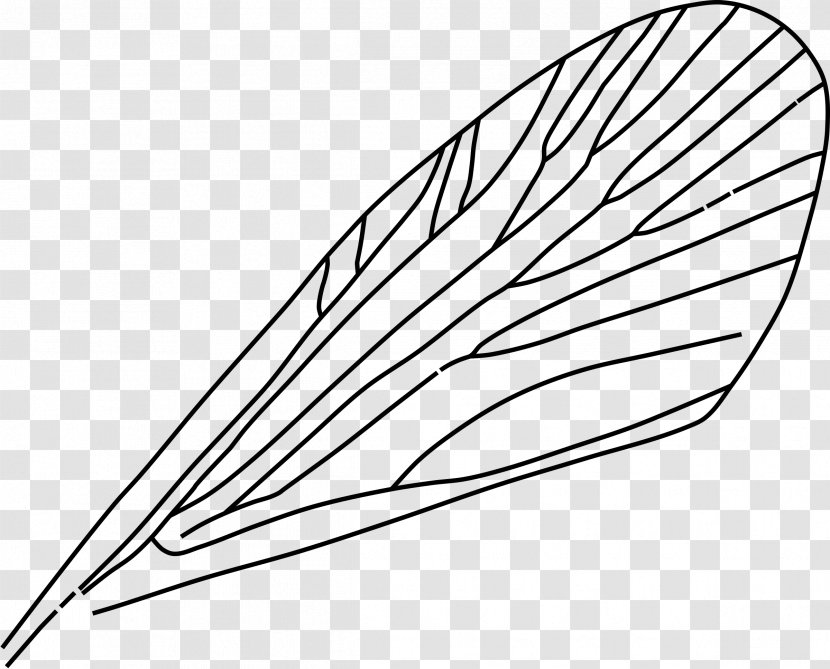 Insect Wing Drawing Airplane Clip Art - Monochrome Photography Transparent PNG