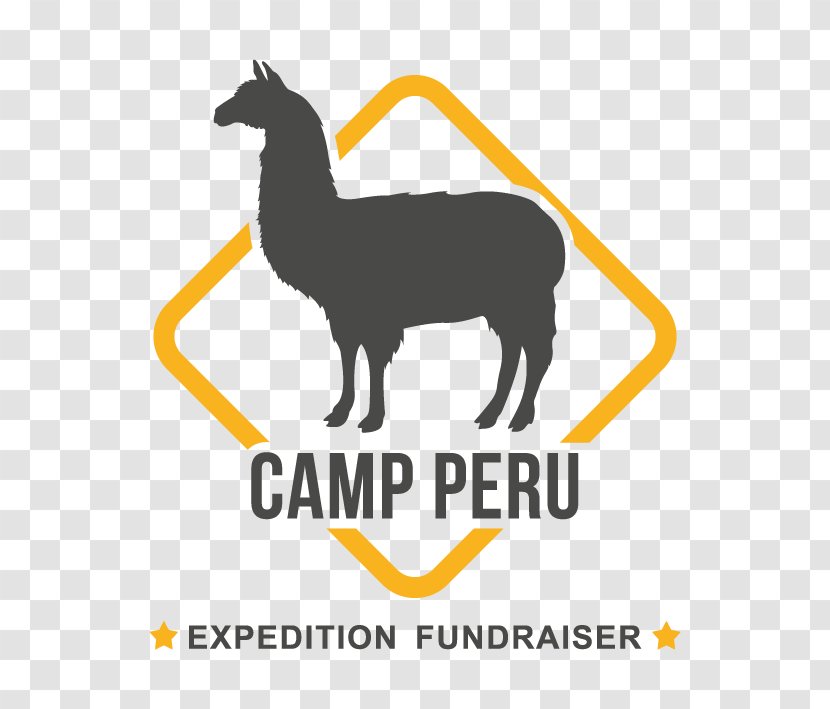 Peru Kenya Camps International Travel Llama - Fauna Transparent PNG