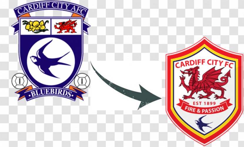 Cardiff City Stadium F.C. Academy English Football League FA Cup - Aaron Ramsey Transparent PNG