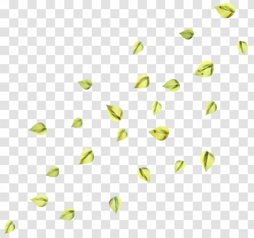 Green Leaf Background - Yellow - Plant Transparent PNG