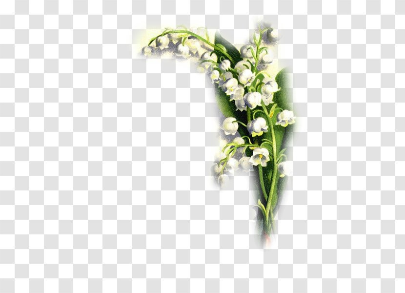 Cut Flowers Image Illustration Painting - Flower Bouquet Transparent PNG