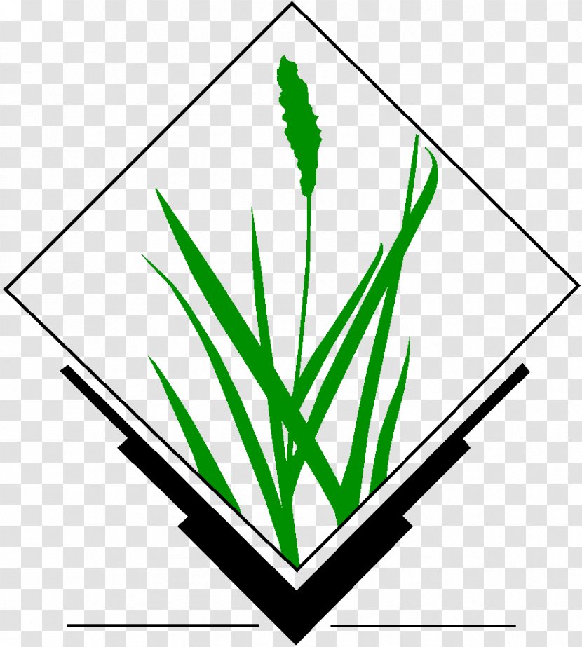 GRASS GIS Geographic Information System Open Source Geospatial Foundation Computer Software ArcGIS - Flora - Vector Art Transparent PNG
