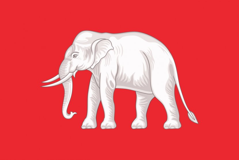 Flag Of Thailand White Elephant - Cartoon - Elephants Transparent PNG