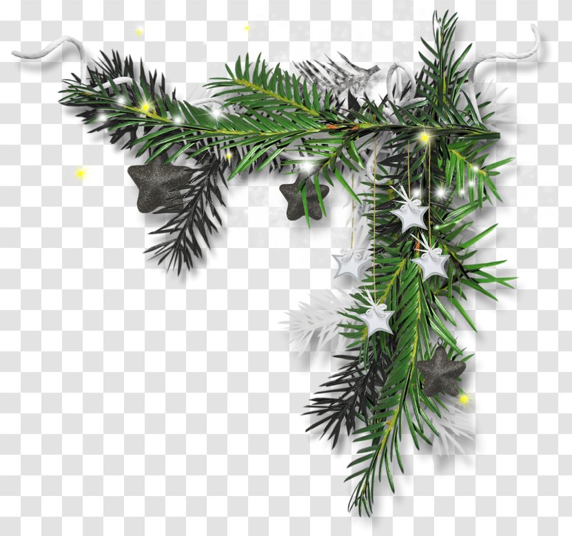 Christmas Ornament Candy Cane Tree The Maxwell Club - Conifer Transparent PNG
