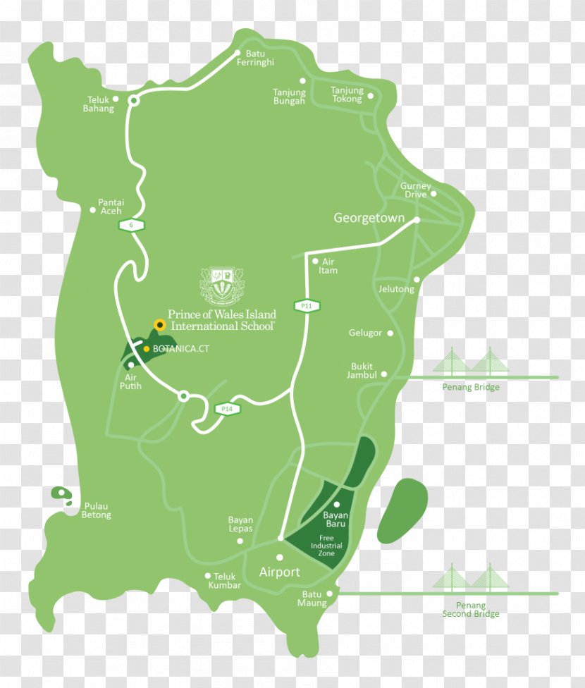 Map Tuberculosis - Green Transparent PNG