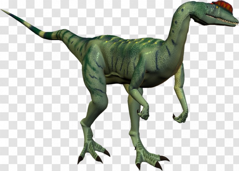 Tyrannosaurus Velociraptor Brachiosaurus 3D Dinosaur VR Transparent PNG