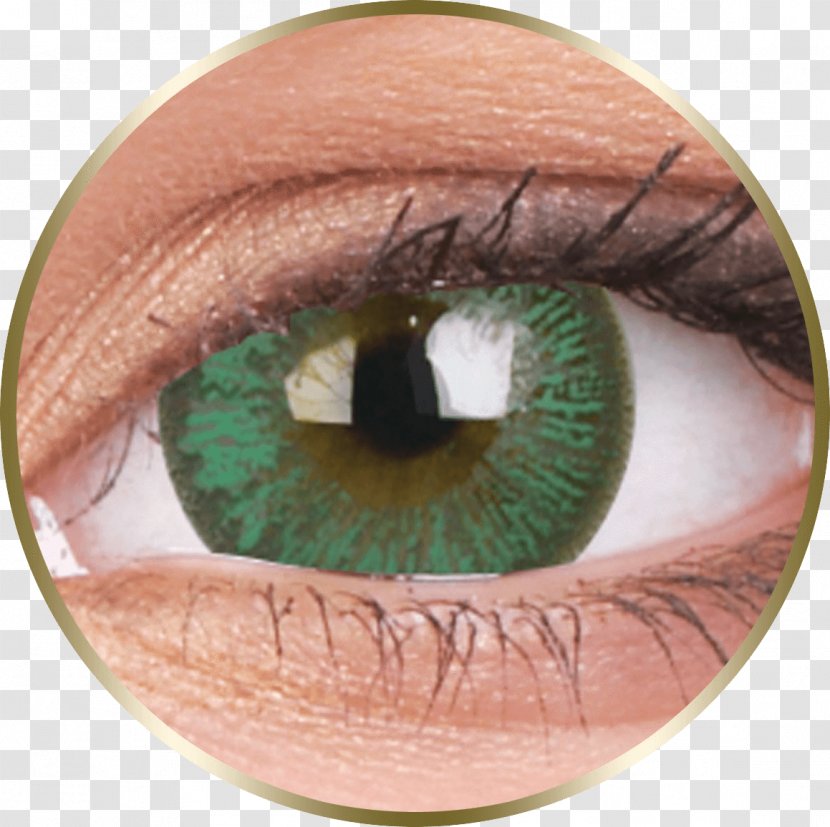 Contact Lenses Circle Lens Eyeglass Prescription Color - Eye Transparent PNG