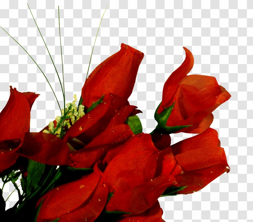 Cut Flowers Rose Floral Design - Flower Arranging Transparent PNG