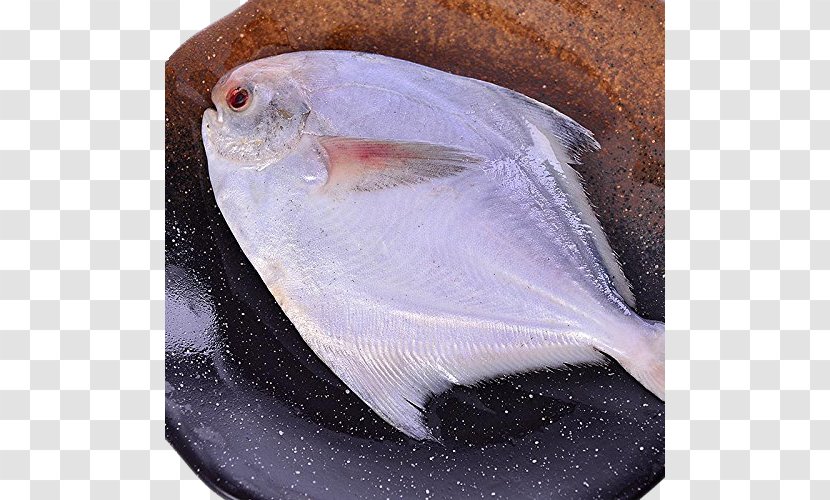 Fish As Food Seafood Escolar - Frozen Butterfish Transparent PNG