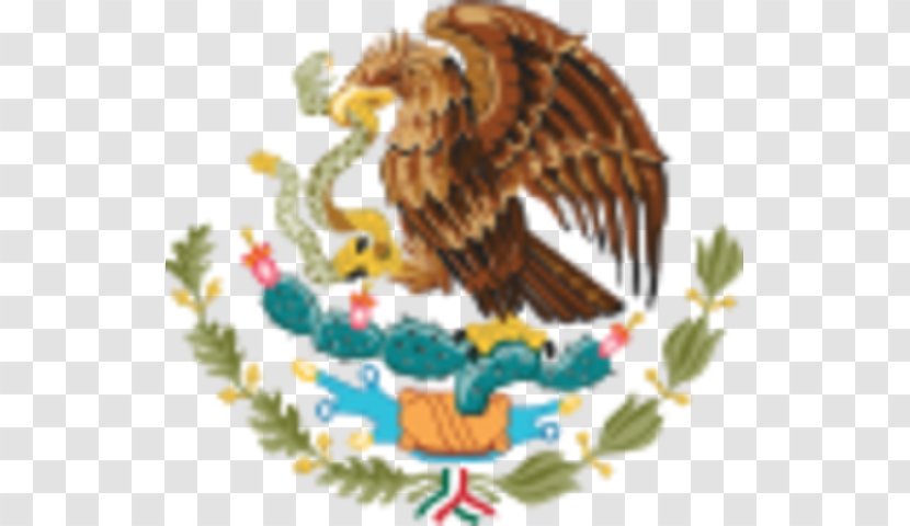 Coat Of Arms Mexico Flag Tenochtitlan - Eagle - Bird Transparent PNG