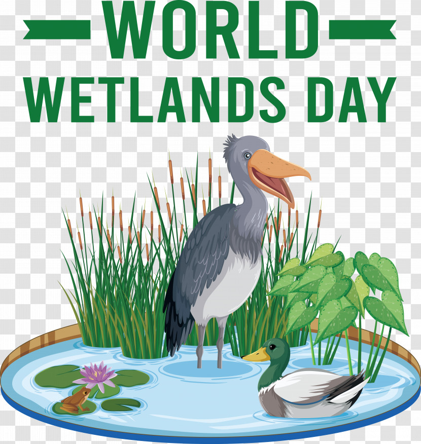 World Wetlands Day Transparent PNG