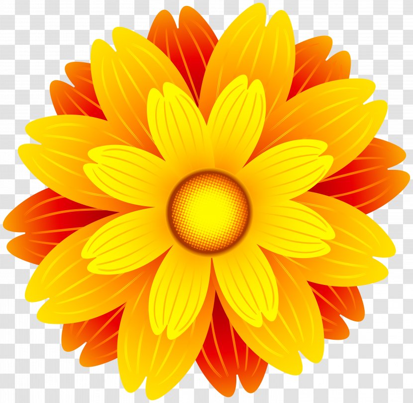 Flower Orange Clip Art - Cut Flowers - Marigold Transparent PNG