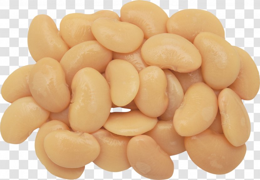 Navy Bean Common Recipe Food - Carbohydrate - Garlic Transparent PNG