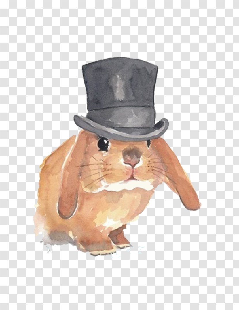 Hat Designer - Rabbit Transparent PNG