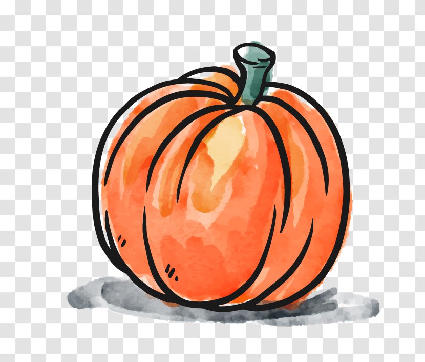 Jack-o-lantern Pumpkin Thanksgiving Illustration - Jack O Lantern - Shape Transparent PNG