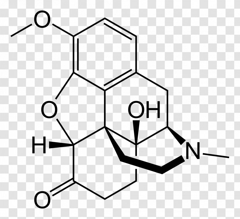 Oxycodone Opioid Hydrocodone Buprenorphine Thebaine - Silhouette - Watercolor Transparent PNG