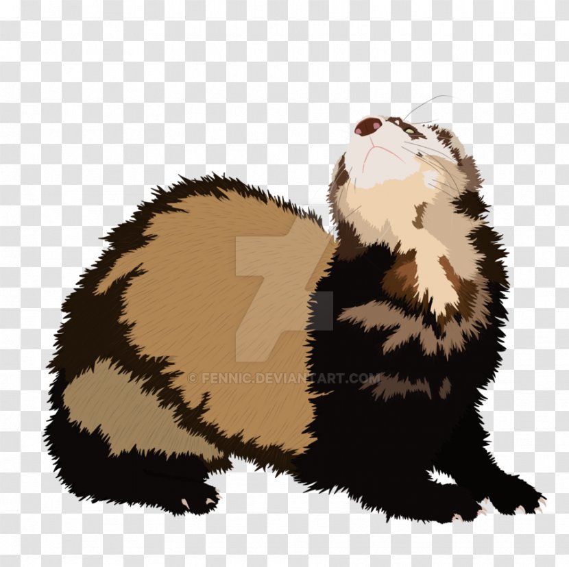 Black-footed Ferret Mink Cat Otter - Mustelidae Transparent PNG