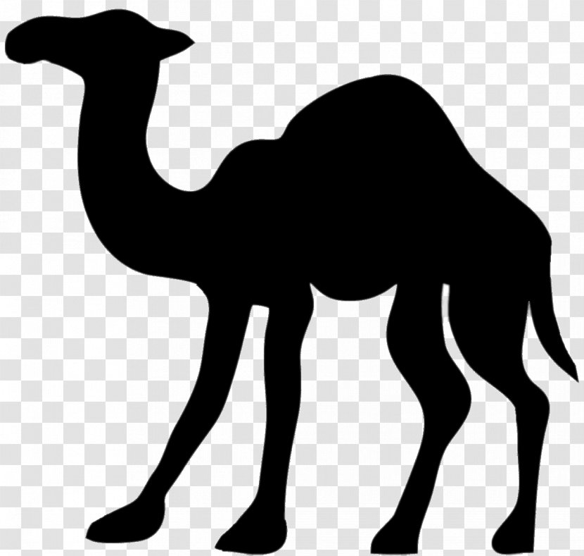 Camel Silhouette Clip Art - Drawing Transparent PNG