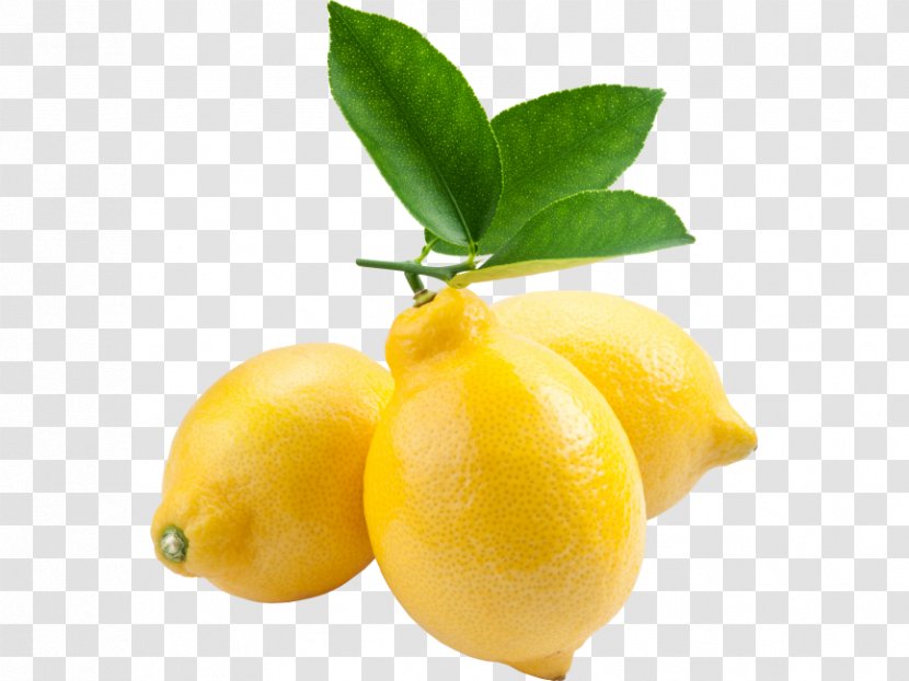 Lemon Flower - Citrus - Sweet Transparent PNG