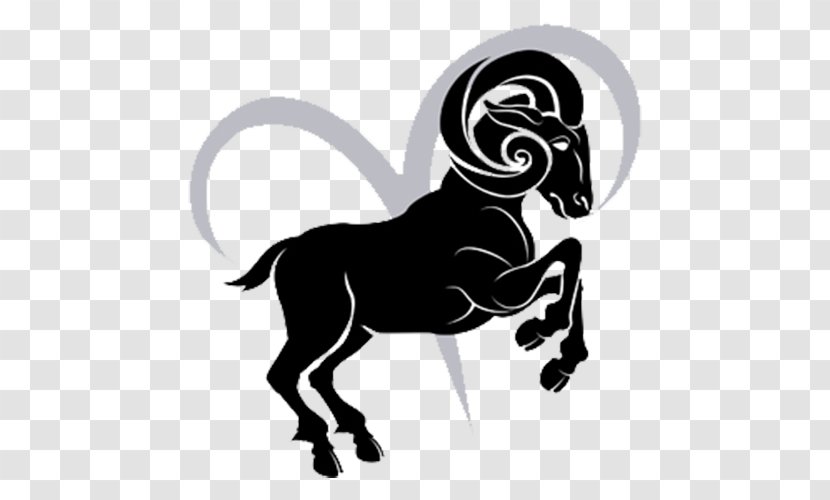 Sheep Aries Astrological Sign Zodiac Horoscope - Mammal Transparent PNG