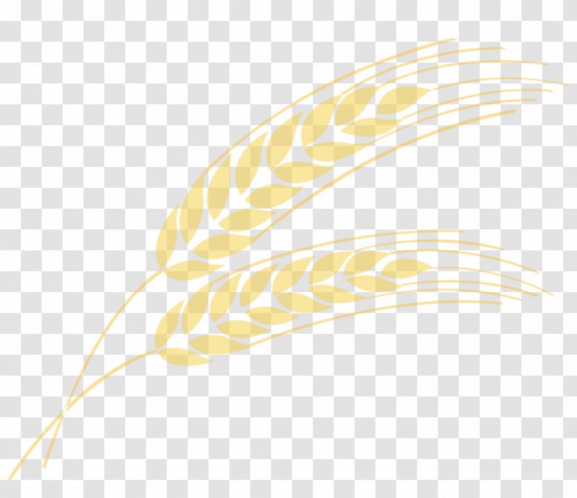 Bird Feather Quill Wing Beak - Animal - Bread Vector Transparent PNG