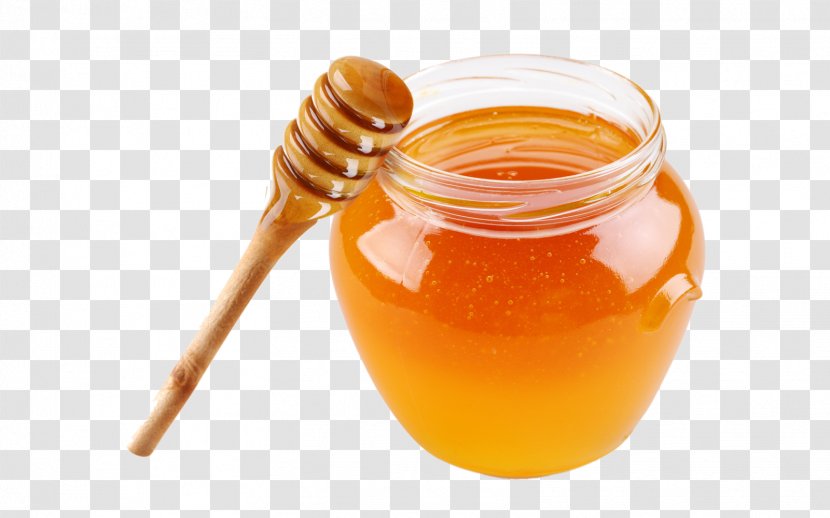 Honey Bee Raw Foodism Transparent PNG