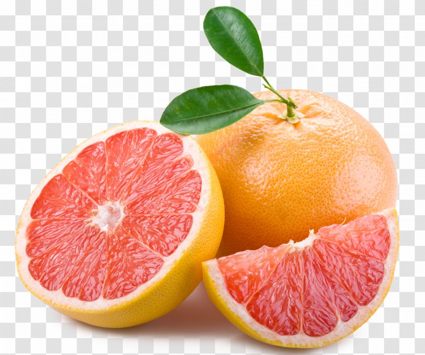 Grapefruit Juice Fresca Sea Breeze - Citrus Transparent PNG