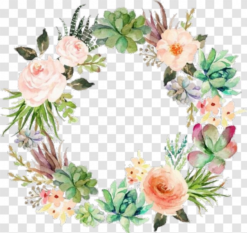 Floral Flower Background - Rose - Wildflower Family Transparent PNG