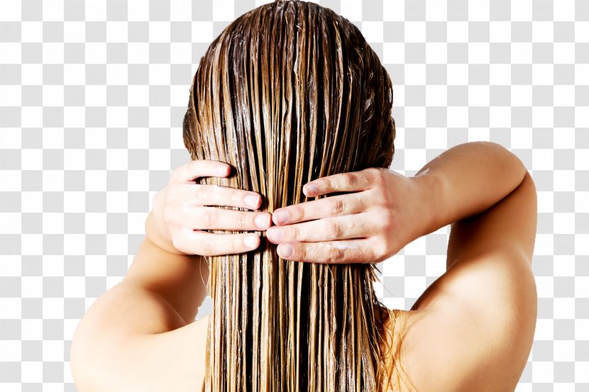 Hair Conditioner Loss Human Growth Shampoo Transparent PNG