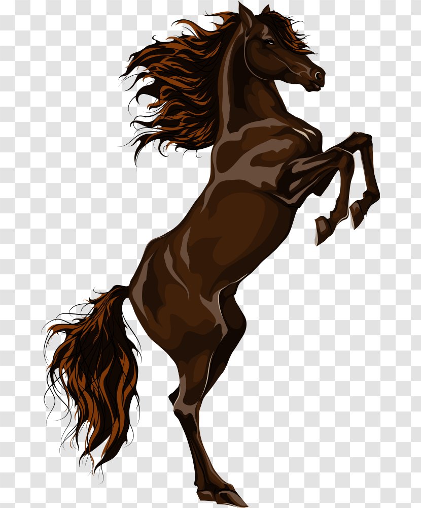 Cartoon Horse - Rein - Colt Transparent PNG