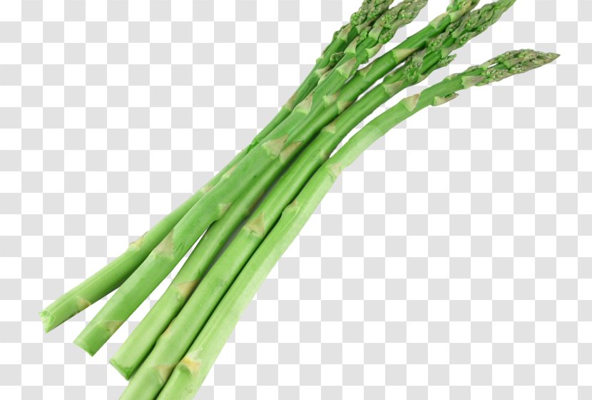 Vegetarian Cuisine Clip Art Asparagus Vegetable - White Onion Transparent PNG