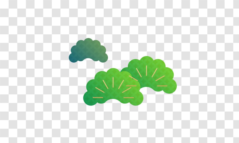 Leaf Green Pinaceae - Daigou - Cartoon Broccoli Transparent PNG