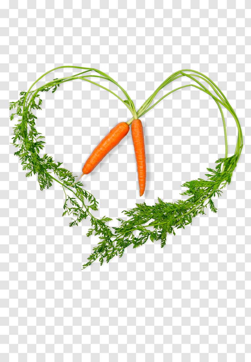 Clip Art Image Recipe Illustration Vegetable - Plant - Carrot Transparent PNG