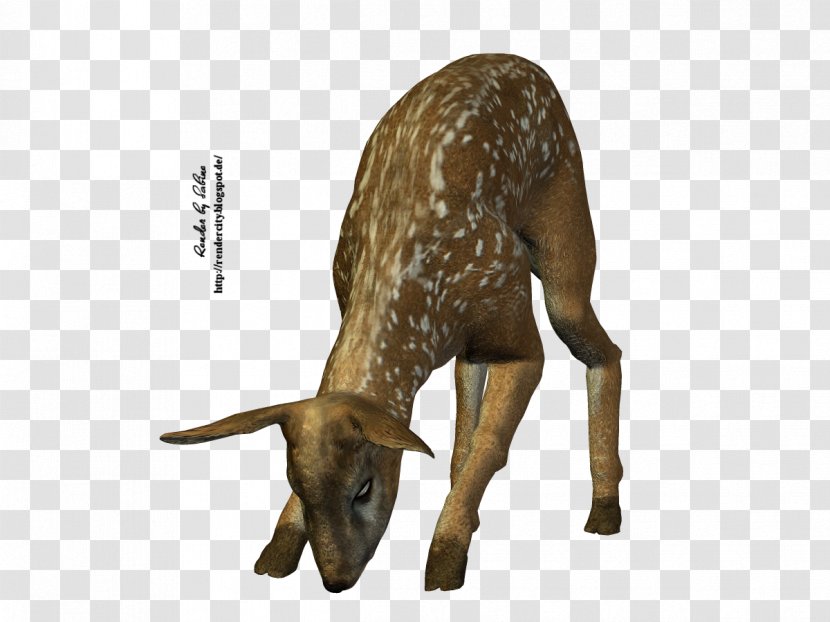 Goat Rehe Province Poser Rendering Character Structure - Wildlife Transparent PNG