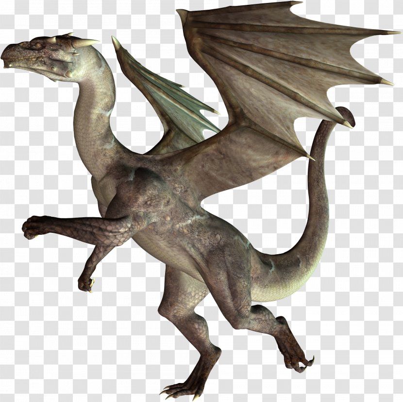 Dragon Photography Download - Mythical Creature - Dinosaur Transparent PNG