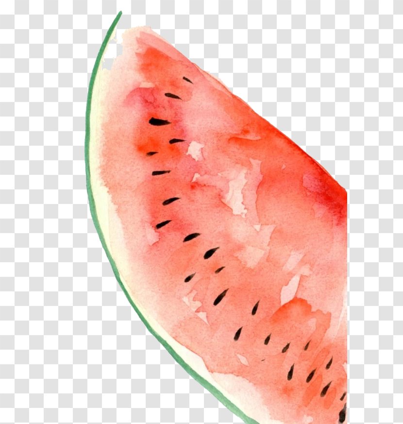 Watermelon Watercolor Painting - Peach Transparent PNG