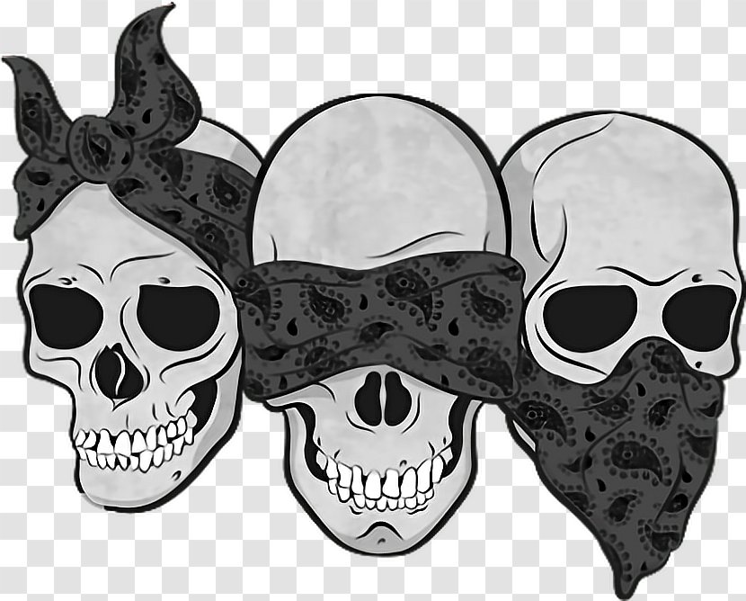 Three Wise Monkeys Drawing Calavera Skull - Jaw Transparent PNG