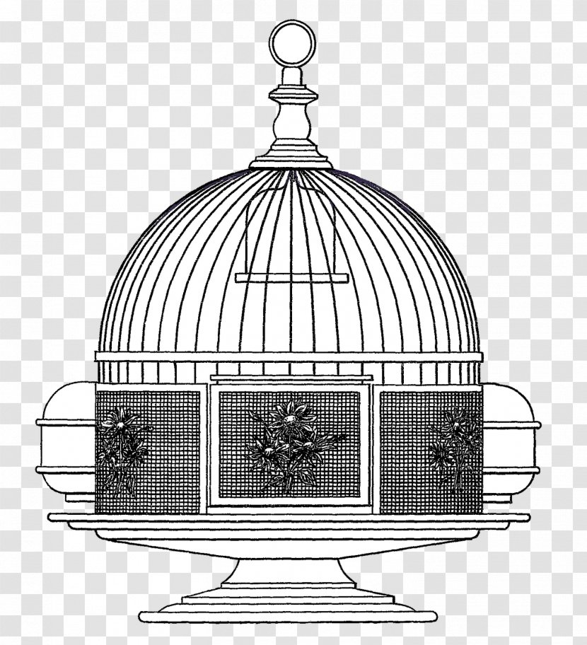 Monochrome Photography Black And White Cage - Craft - Birdcage Transparent PNG