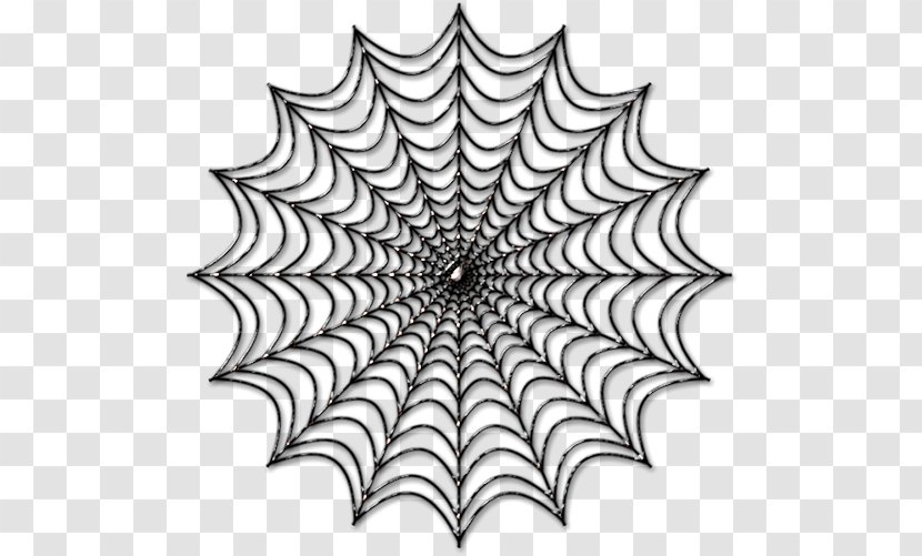 Spider Web Black And White Color - Tree Transparent PNG