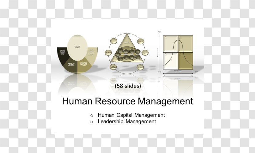 Text Industrial Design Database - Human Resource Management Transparent PNG